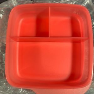 Divided lunch container